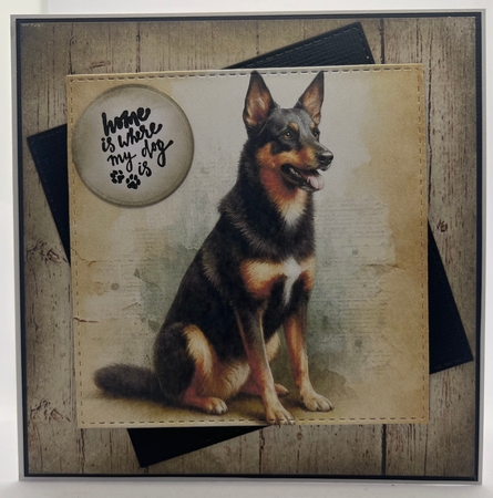 Kelpie Vintage CUSTOMER REQUEST  by Karen Taylor