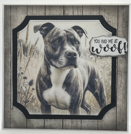 Pencil Portrait Dogs 11 by Karen Taylor