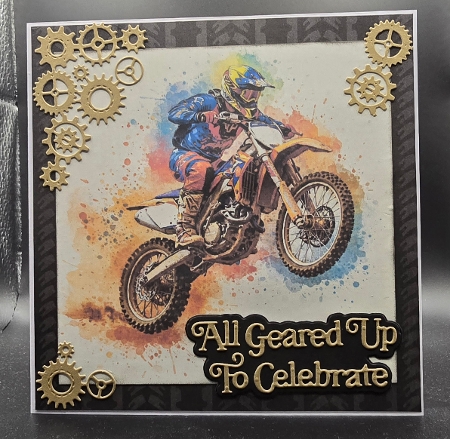 Dirt Bikes by Karen Taylor