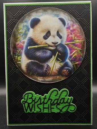 Little Panda Bear by Karen Taylor