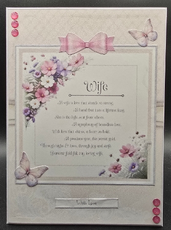 A Special Wife by Karen Taylor