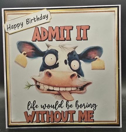 Funny 8X8 Topper With Humour Caption (TWELVE) by Karen Taylor