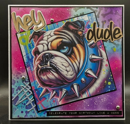 Bulldogs by Karen Taylor
