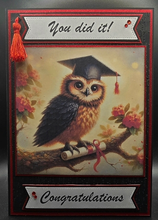 Owls/Vets CUSTOMER REQUEST  by Karen Taylor