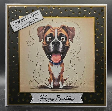 Caricature Dog Portraits 4 by Karen Taylor