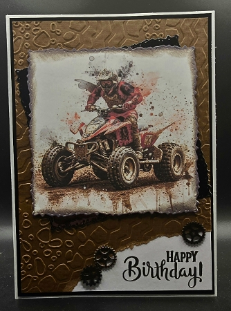 Quad bikes by Karen Taylor