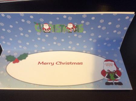 Santas Christmas Large Dl Insert by Karen Thomson