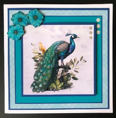 Peacock Elegance by KAREN WHYBORN