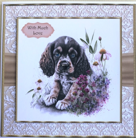 Puppy 1 by KAREN WHYBORN