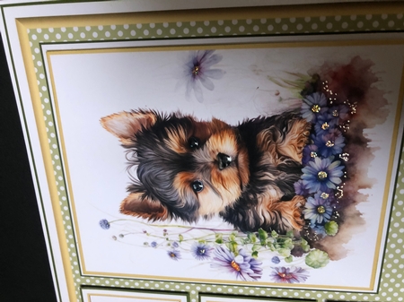 8x8 Yorkie Mini Kit - x5 A4 Sheets  by KAREN WHYBORN