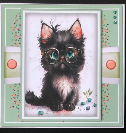 8x8 Gorgeous Sophisticated Kitty 5 by KAREN WHYBORN