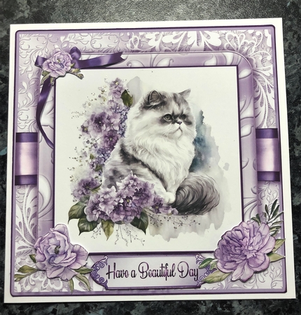 Persian Cats Purple Card Front Kit-1   by KAREN WHYBORN