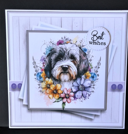 7x7 Dog 1 (Bichon) Card Front with Topper & Sentiments  by KAREN WHYBORN