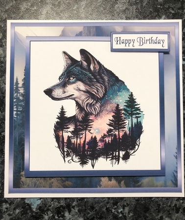 SC Wolf mountain by KAREN WHYBORN