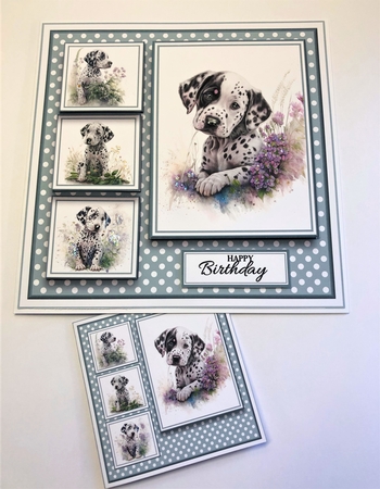 8x8 Dalmation Mini Kit - x5 A4 Sheets  by KAREN WHYBORN