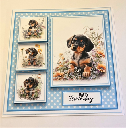 8x8 Daschund Mini Kit - x5 A4 Sheets  by KAREN WHYBORN
