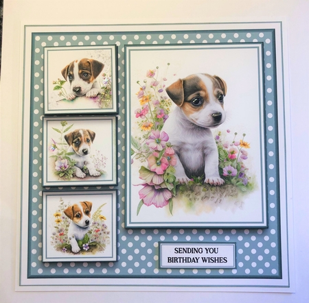8x8 Jack Russel Mini Kit - x5 A4 Sheets  by KAREN WHYBORN