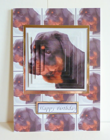 Rottweiler Portrait Pyramid by Karen Nash