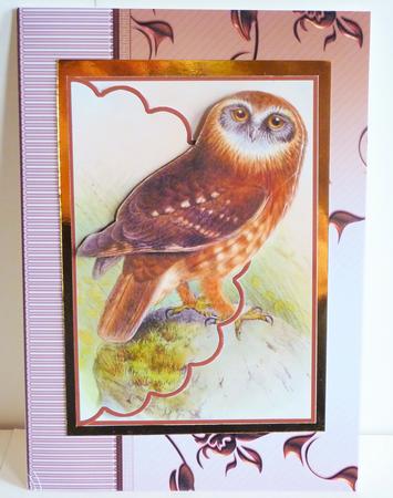 Mr Wise Owl Envelope Card by Karen Nash