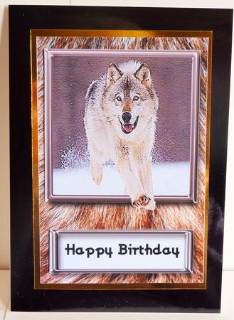 Wolf in Wolf's Clothing Card Front by Karen Nash