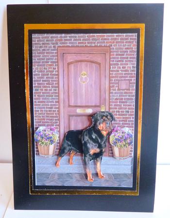 Rottweiler Stood on a Doorstep by Karen Nash