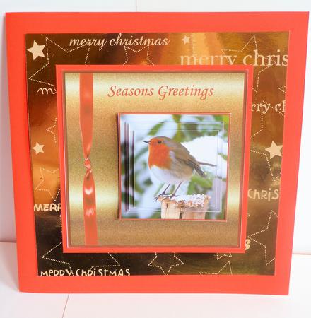 Robin Redbreast by Karen Nash
