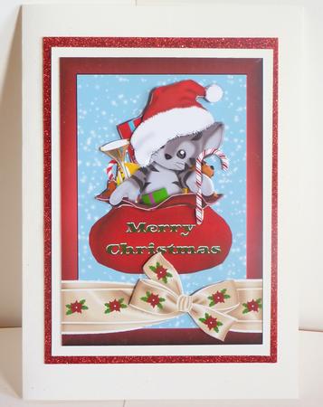 Kitty Sack Quick Card by Karen Nash