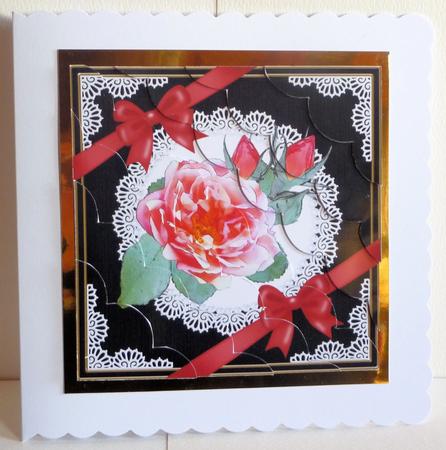 8 x 8 Rose and Lace Kit with Scalloped Corners by Karen Nash