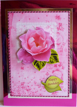 Pink Rose on Square Lace by Karen Nash