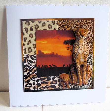 Watching the Sun Go Down Step by Step by Karen Nash