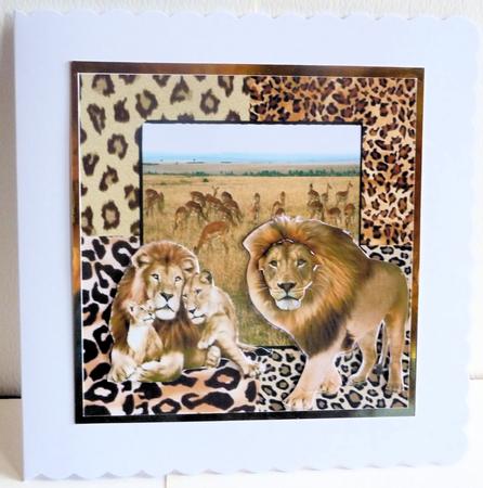 Masters of the Maasai Mara Step by Step by Karen Nash