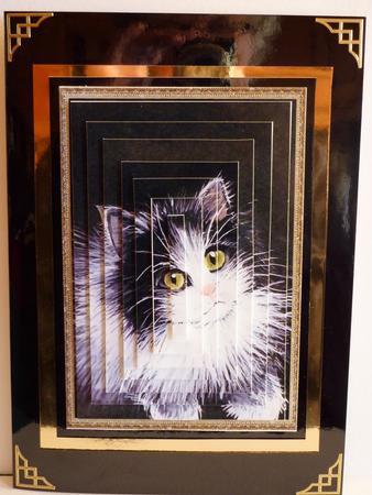 Original Paintings, Puppy and Black and White Cat by Karen Nash