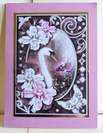 Midnight Swan in Pink A4 by Karen Nash
