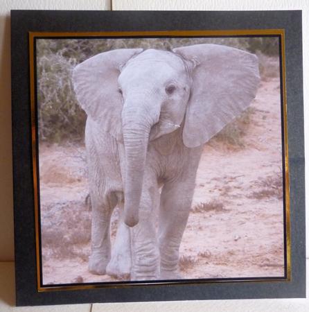 Cute Baby Elephant Topper by Karen Nash