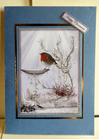 Christmas Robins by Karen Nash