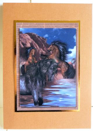 Wild Mustang Horses by Karen Nash