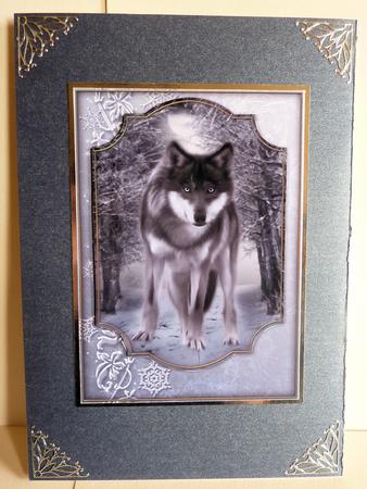 Winters Night by Karen Nash