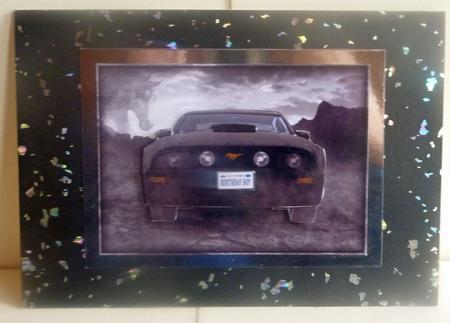 Black Mustang by Karen Nash