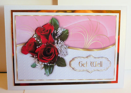 Red Roses Birthday or Get Well by Karen Nash
