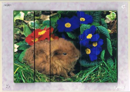 Fluffy Guinea Pig Side Stacker by Kate Wordingham