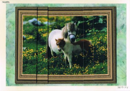 Sheltie Ponies by Kate Wordingham