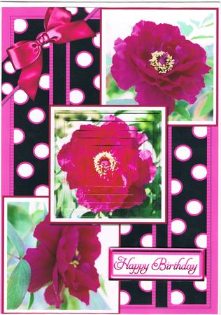 Pink Peony on Black by Kate Wordingham