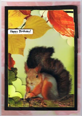 Squirrel Side Stacker by Kate Wordingham