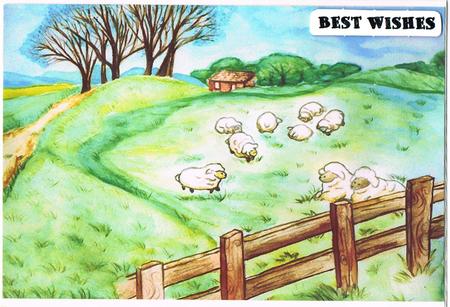 A Sheep Farm at the Countryside by Kate Wordingham