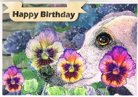 A4 Whippet Greyhound Hiding in the Flower Bed by Kate Wordingham