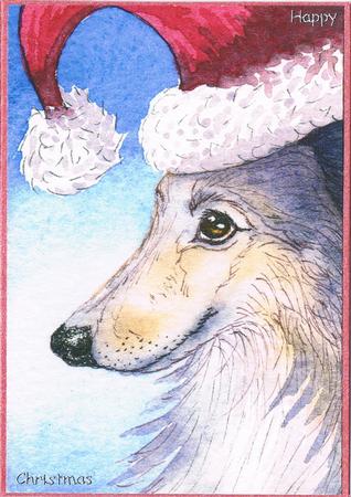 This Sheltie Was Chuffed with Her Holiday Hat by Kate Wordingham