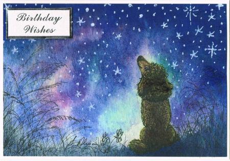 Poodle Looking to the Stars for Inspiration by Kate Wordingham