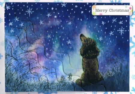 Poodle Looking to the Stars for Inspiration Stacker by Kate Wordingham