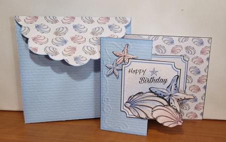 Seashells Fold Back BUNDLE by Katherine Cooper