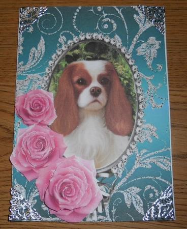 Pink Roses - King Charles Spaniel- Silver Jade Card Front by Kathi Carlozzi